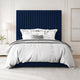 Midnight Blue Plush