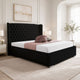 Black Plush