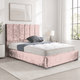 Pink Plush