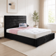 Black Plush