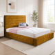 Turmeric Plush