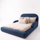 Blue Teddy